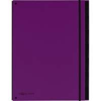 PAGNA desk folder Trend 24079-12 7-part 3 inspection holes purple
