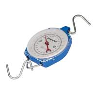 Hanging scale, 100 kg