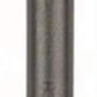 BOSCH Hohlmeißel SDS-plus L.250mm Schneiden-B. 22mm gebogene Form